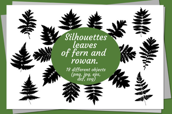 Exploring Silhouettes of Fern and Rowan: A Creative Resource for Designers and Artists