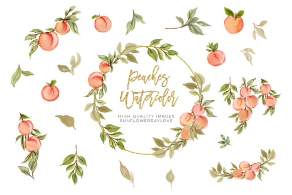 Peaches Watercolor Elements Clipart: A Versatile Tool for Creative Projects
